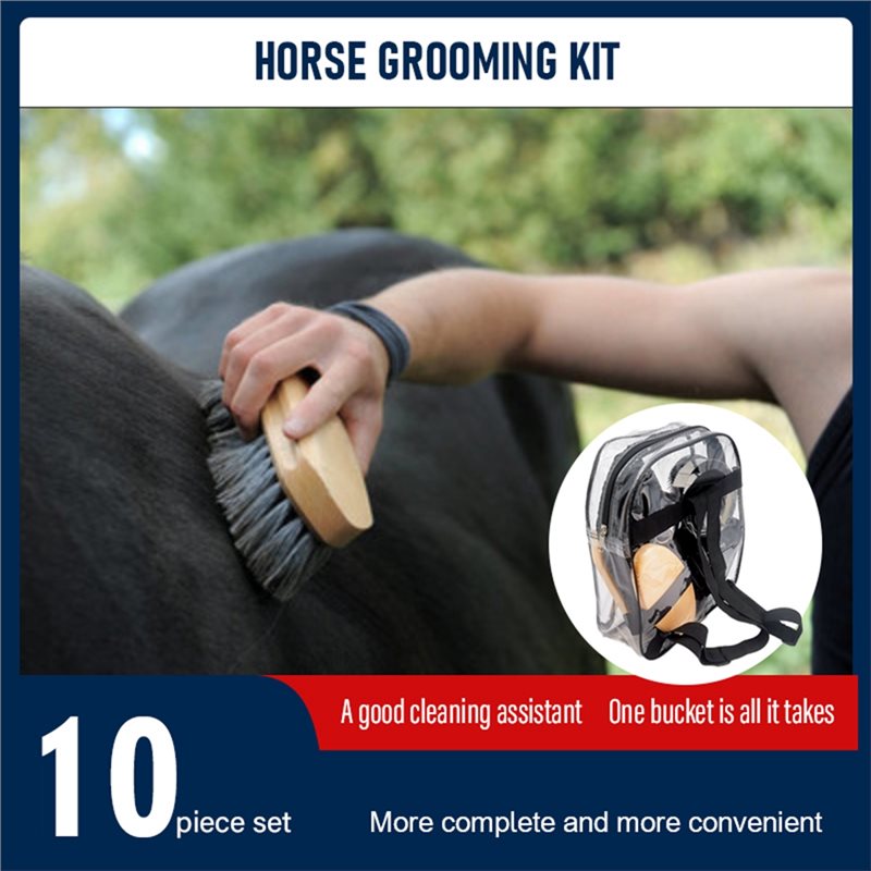 Dropship-Kit de cuidado para c - Grooming Kit Horse reseña y precio