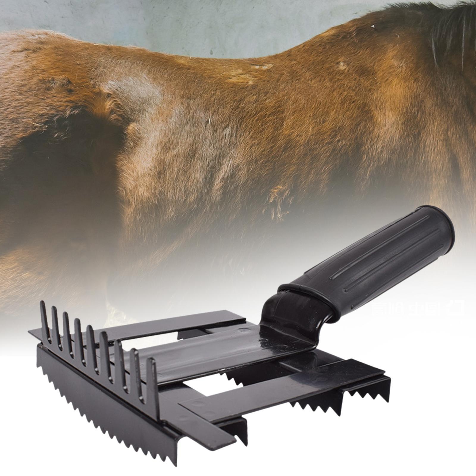 Peine para quitar el ganado, c - Grooming Kit Horse reseña y precio
