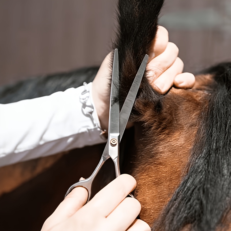 Juego de Herramientas para el  - Grooming Kit Horse reseña y precio