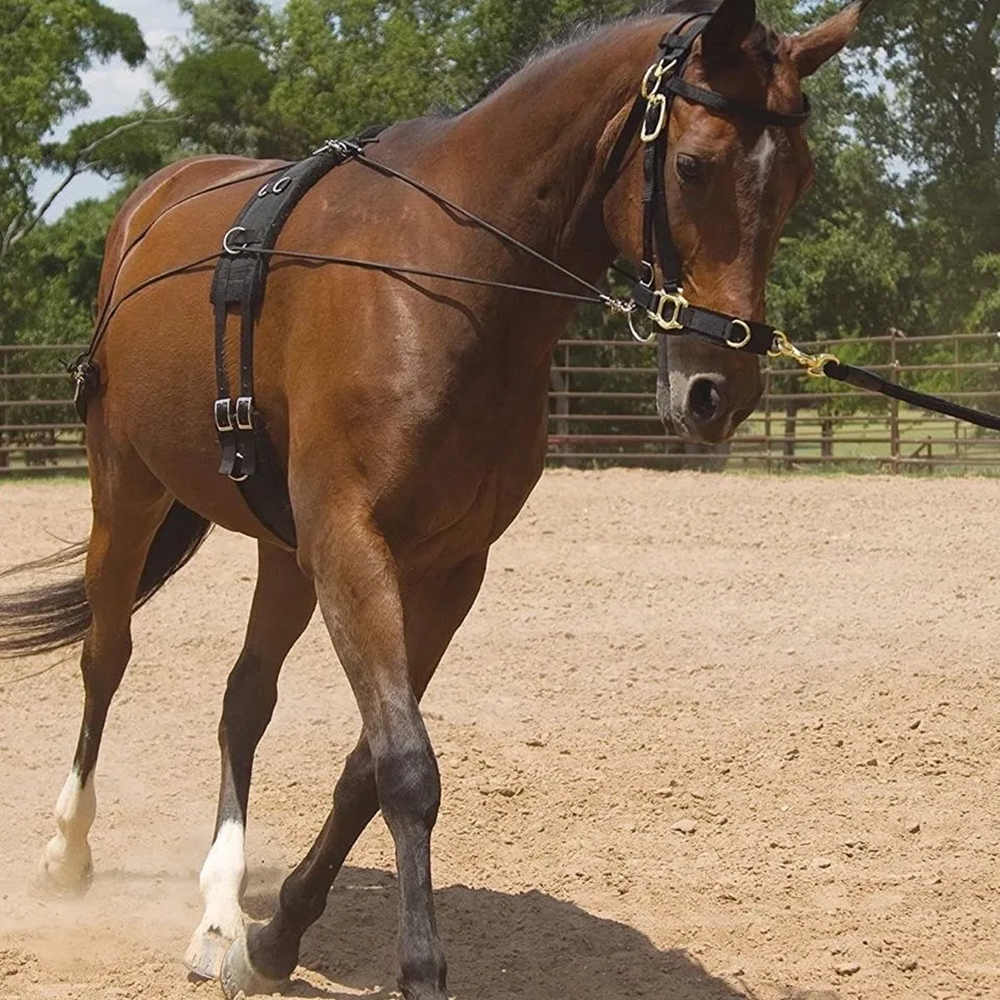 Mochila de acondicionamiento r - Grooming Kit Horse reseña y precio