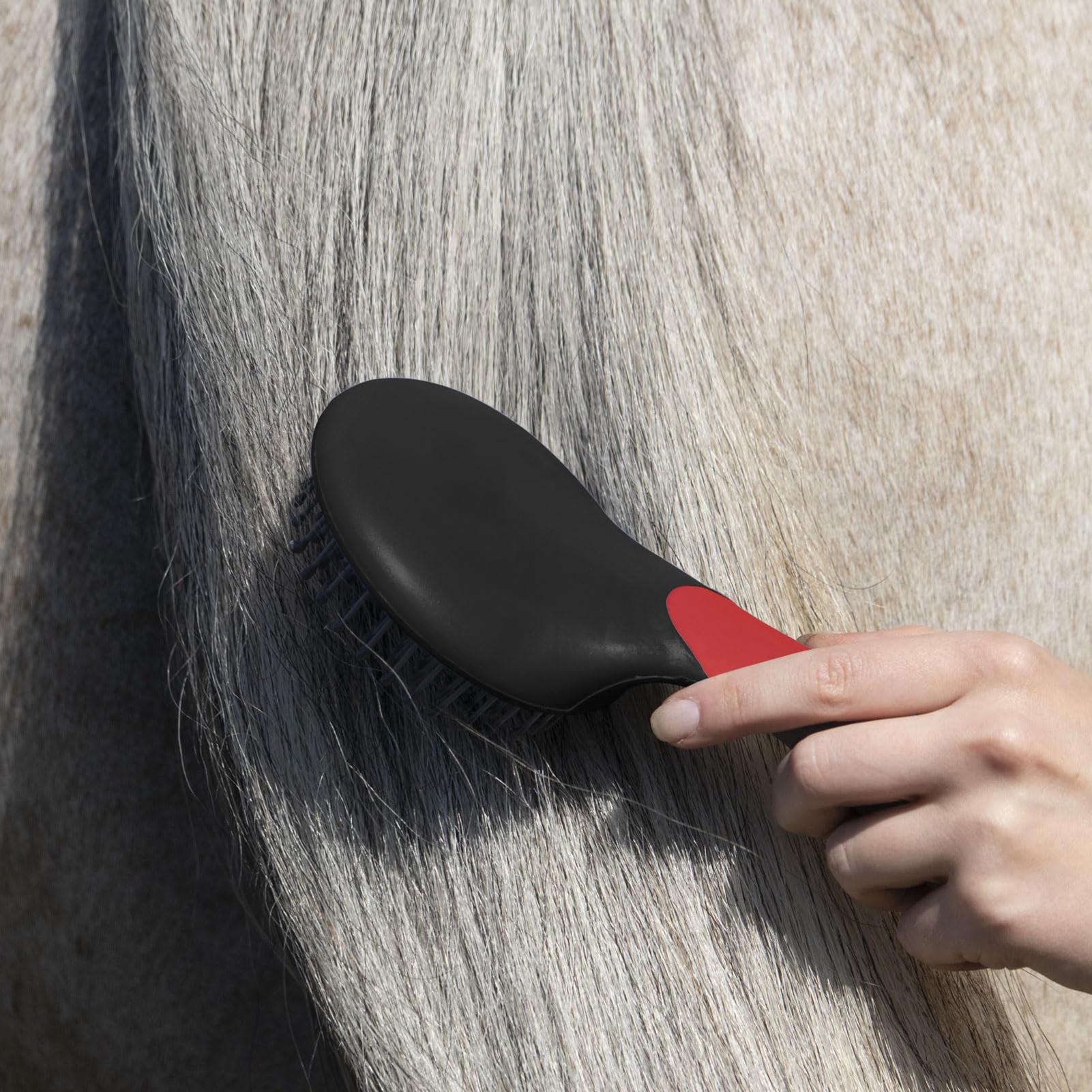 Cepillo para Caballos para Des - Grooming Kit Horse reseña y precio
