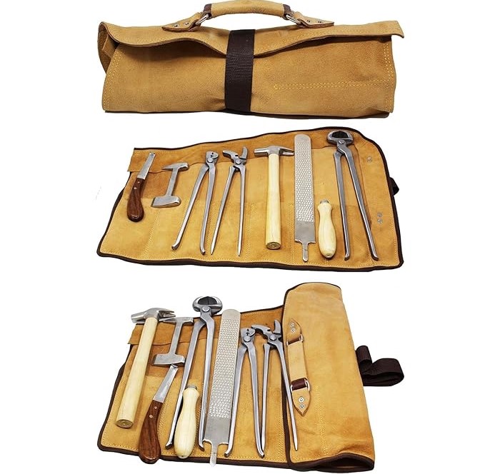 Juego de Herramientas Profesio - Grooming Kit Horse reseña y precio