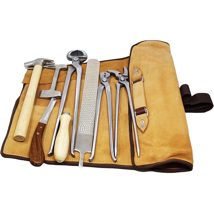 Juego de Herramientas Profesio - Grooming Kit Horse reseña y precio
