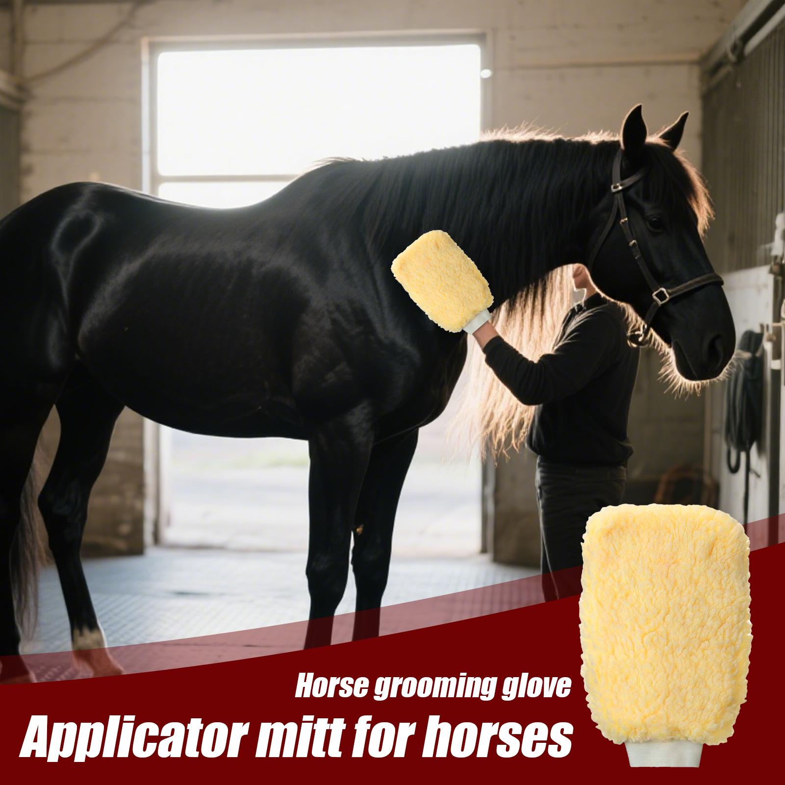 Guante aplicador de garrapatas - Grooming Kit Horse reseña y precio