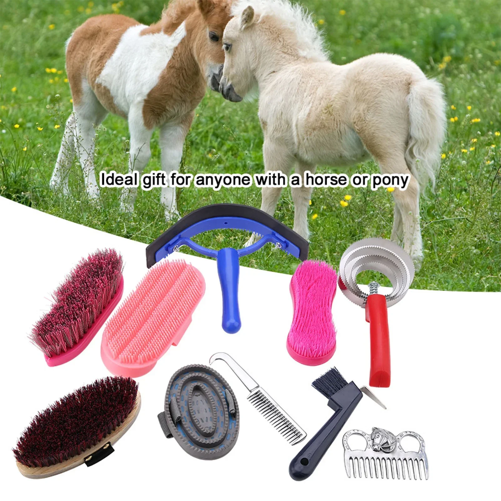Kit de cuidado de caballos, ce - Grooming Kit Horse reseña y precio