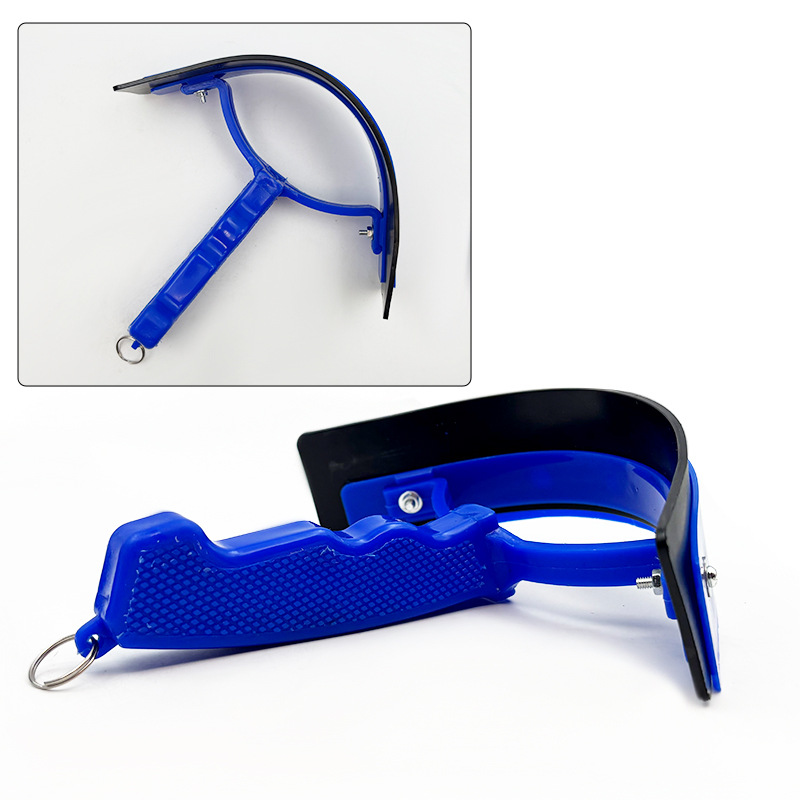 Set de Limpieza Completo para  - Grooming Kit Horse reseña y precio